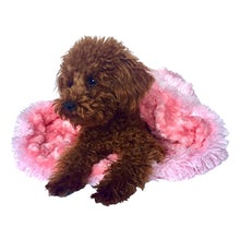 Load image into Gallery viewer, Pink Shag Plush Cozy

