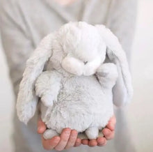 Load image into Gallery viewer, Tiny Nibble 8&quot; Gray Bunny
