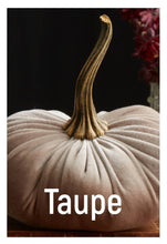 Load image into Gallery viewer, Velvet Pumpkins ~ Large
