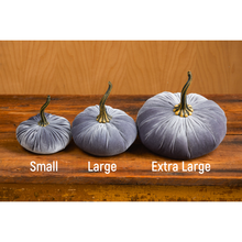 Load image into Gallery viewer, Velvet Pumpkins ~ Large
