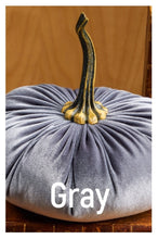 Load image into Gallery viewer, Velvet Pumpkins ~ Large
