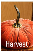 Load image into Gallery viewer, Velvet Pumpkins ~ Large
