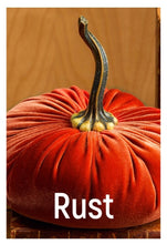 Load image into Gallery viewer, Velvet Pumpkins ~ Large

